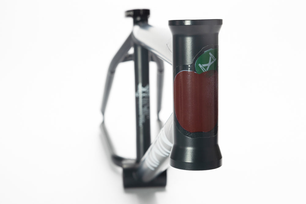 RIXIN BILLY PERRY SIGNATURE BIG APPLE FRAME