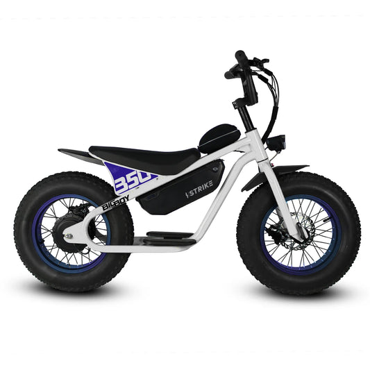 GOLDEN CYCLES 16" BIG BOY E-BIKES (WEST COAST)